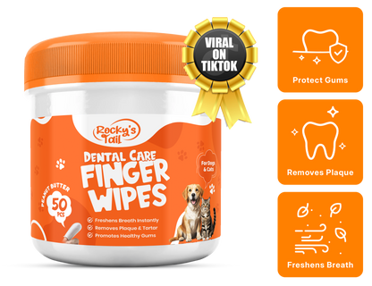 Dental Care Finger Wipes
